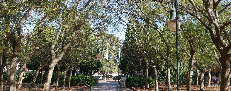 Alison Park, Randwick