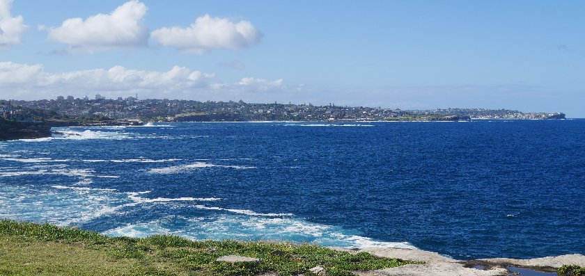 Looking north to Bondi from Jack Vanny Reserve, Maroubra