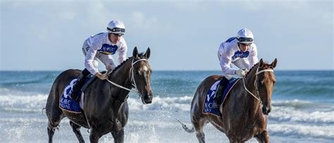 Horse race on Coogee beach