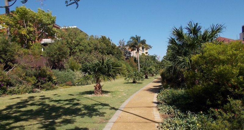 Part of the tramway reserve stretching from Dudley Street, now parkland maintained by volunteers